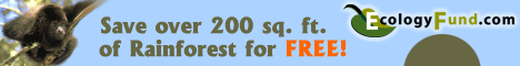 Save over 200 sq. ft. of Rainforest for FREE!